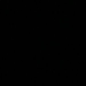 Meet your Posher, Bertrell